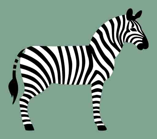 Zebra